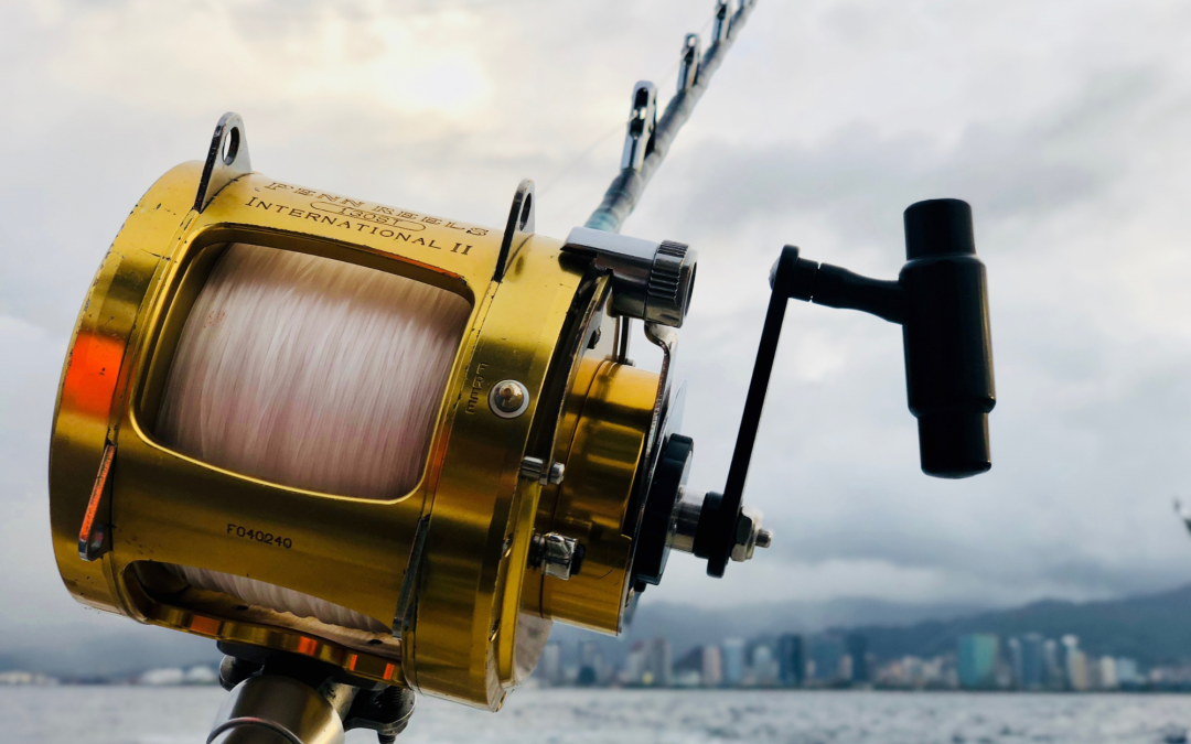 The Ultimate Guide to Choosing the Right Fishing Rod